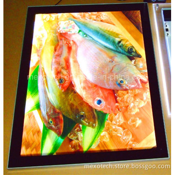 Aluminum Magnetic Frame LED Slim Advertisement Light Box (SSH03-A3)